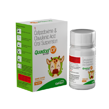  Pharma franchise in Caneus Biotech - Jaipur Rajasthan	Quadcef CV DS.png	